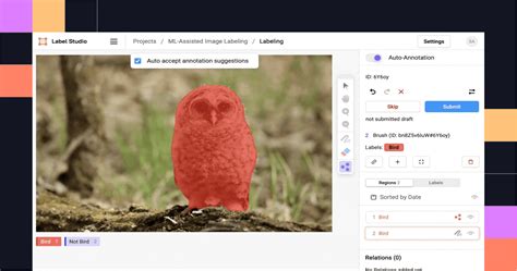 Image result for Label Studio Export Coco