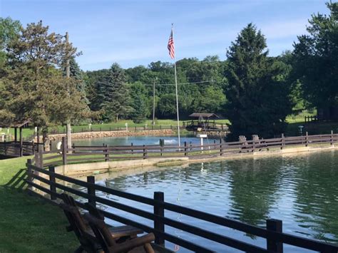 Image result for Spring Run Trout Farm