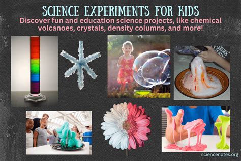 Function Science Experiments 的图像结果