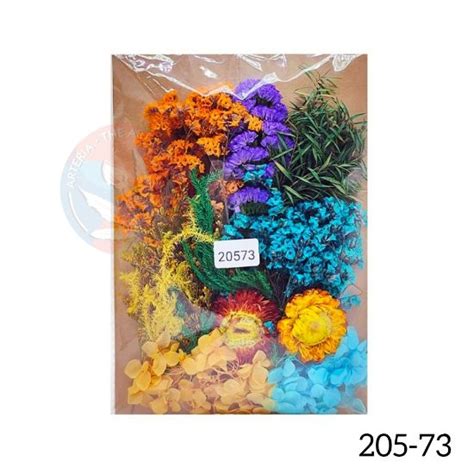 Arteria. 3D Dry Flower Packet C