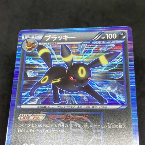 PSA8 ポケモンカード ブラッキー BW 1ED ライデンナックル | castyou.in