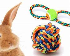 Image result for bunnies playing with toys