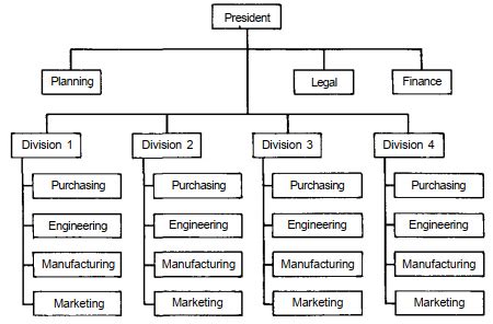 Divisional Form of Structure 的图像结果