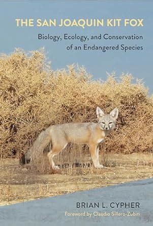 Buy The San Joaquin Kit Fox: Biology, Ecology, and Conservation of an ...