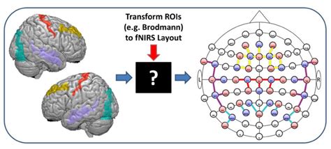 Recent Developments in Instrumentation of Functional Near-Infrared ...