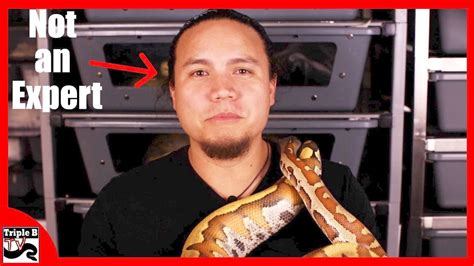 Image result for How to Build a Burmese Python Trap