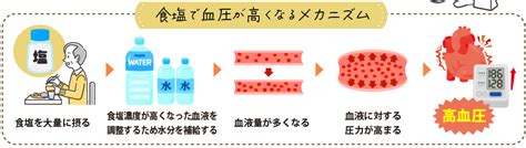 Image result for Hierarchical Classification Machine Learning