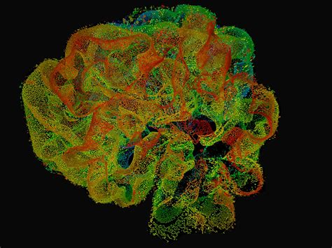 Image result for Science Org