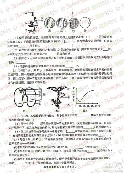 洛阳市初中期末考试试卷发布！考完的可以来看题对答案啦