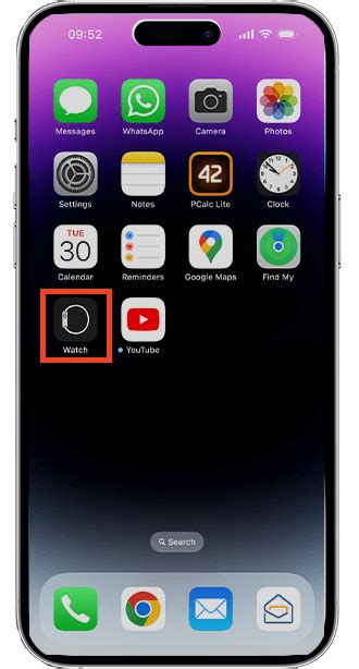 Forgot Passcode On Apple Watch 的图像结果