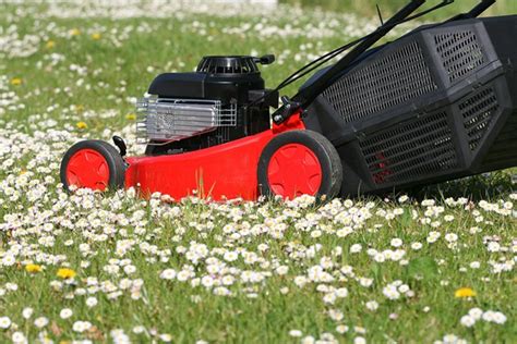 Image result for Reparation Robot Tondeuse