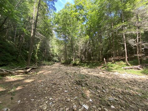 Unearthing Kentucky's Hidden Gem: A Journey Through the Resurgence Cave Trail - Mystical Trekking