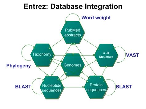 Image result for NCBI API Key