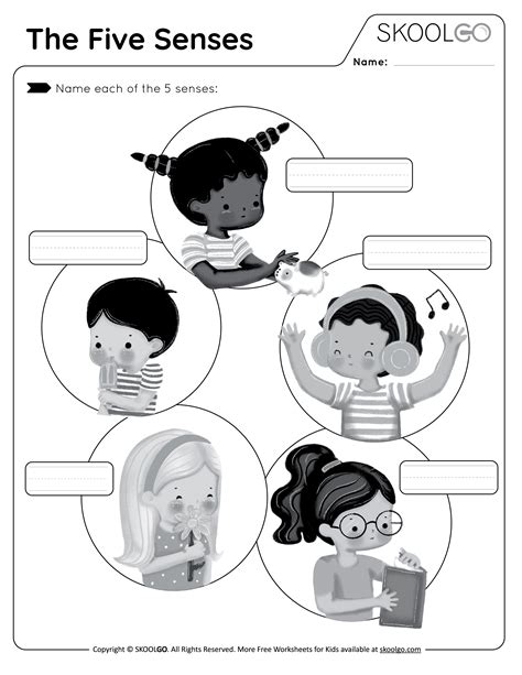 Five Senses Kindergarten Worksheet
