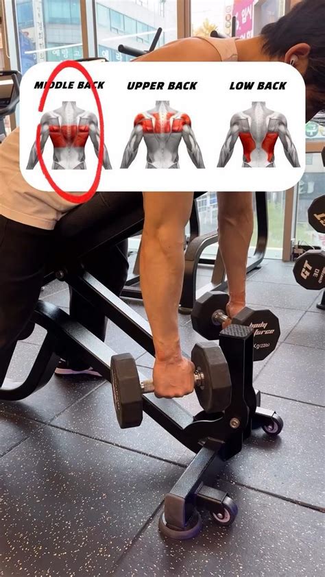 Image result for Musculation Dos