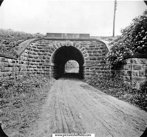 Searching Picture Sheffield