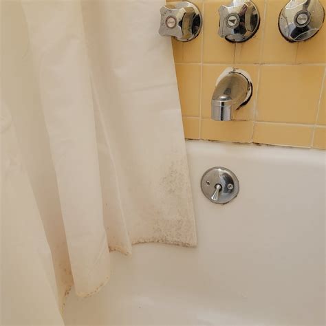 TANGLEWOOD MANOR HOUSE BED AND BREAKFAST (Clemmons) - B&B Reviews ...