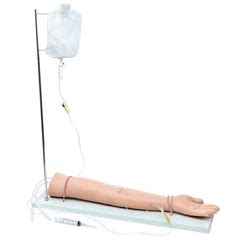 Injectable Training Arm Model Premium Quality – HomoSapiens