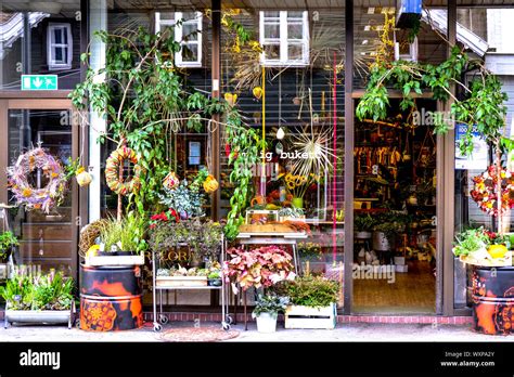 Flower Shop 的图像结果