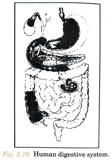 Image result for Class 7th Science Chapter 2