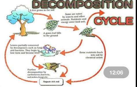 Image result for Decomposition Code Programing