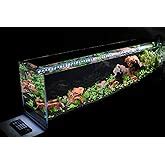 Parko Big Size Fish Tank Aqua Habitat Aquarium 40 Litre,12x12x18 Inches ...