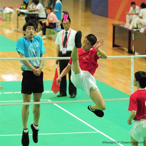 Chinese ShuttleCock 的图像结果