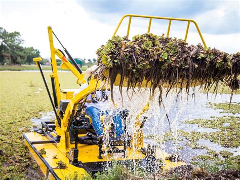 Weed Control Near Waterways at Amy Heyer blog