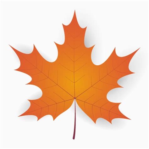 Image result for Vector File of Maple Leaf