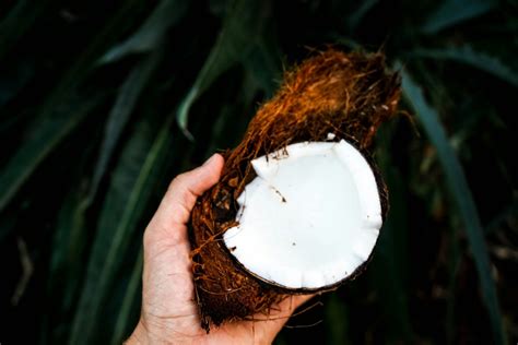 The Science of Coconut Oil Melting Point - OilCocos