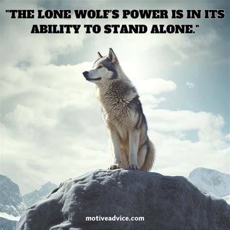 100+Lone Wolf Quotes - Motive Advice
