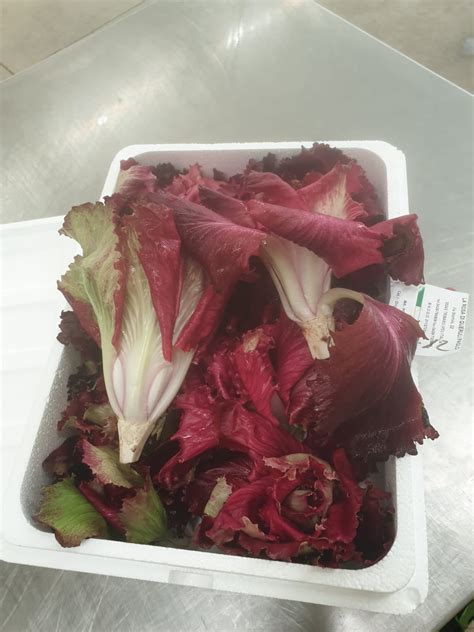 Rosa del Gorizia – Italian Radicchio Supplier
