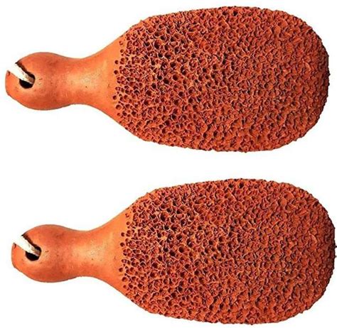 Pumice Stones - Shop Top-Quality Pomes Stones Online | Shopsy