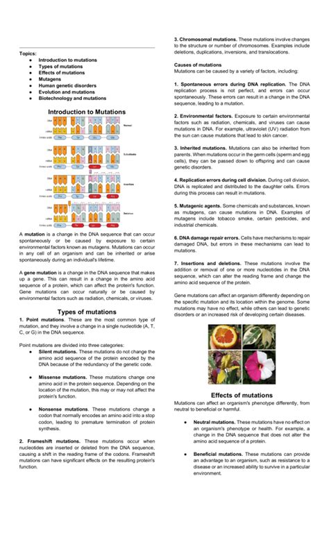 Mutation Example 的图像结果