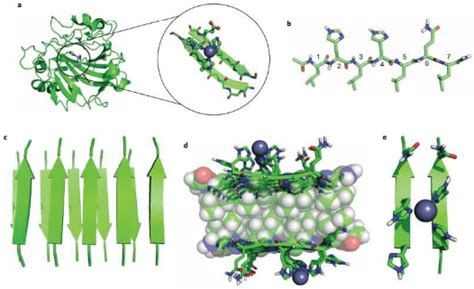 Endocrine System, Nervous System & Hormonal Reactions - Notes | Study ...