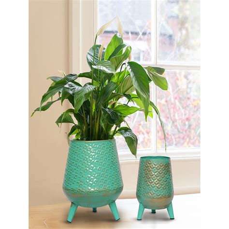 Buy Ecofynd Hazel Metal Planter with Stand Green Online