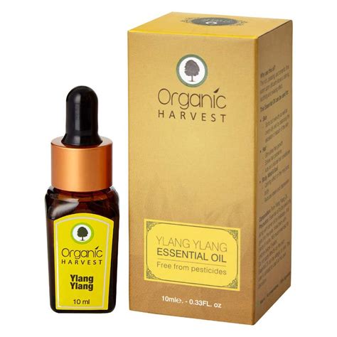 Buy Essential Oils for a Massage Online – Apollo Pharmacy