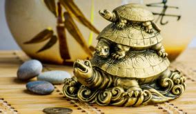 Placement of Tortoise as per Vastu Shastra and Feng Shui