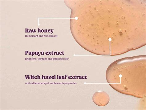 Vilvah Store Honey Fix Face Cleanser – Earthglies