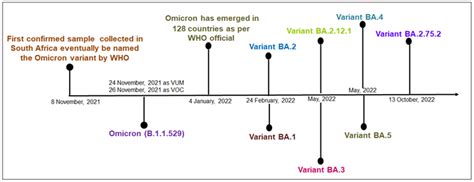 A Detailed Overview of SARS-CoV-2 Omicron: Its Sub-Variants, Mutations ...