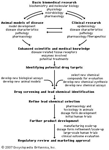 Image result for Drug Development Flowchart