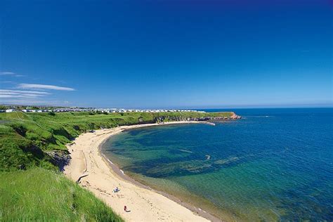 HAVEN - BERWICK HOLIDAY CENTRE (Berwick upon Tweed) - Campground ...