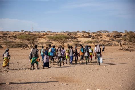 IOM Helps Ethiopian Migrants, Somali Refugees Return Home from | IOM ...