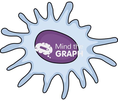 Image result for Astrocyte