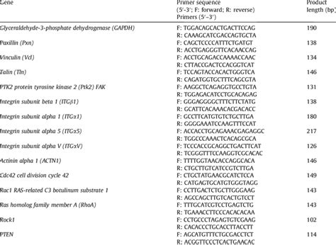 Image result for PCR Primer Example