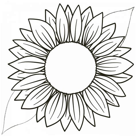 Easy To Draw Sunflowers