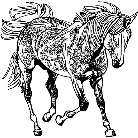 Horse Coloring Pages Realistic