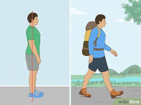 Image result for Lower Back Core Exercises