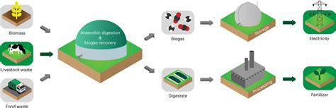Bioenergy Examples 的图像结果