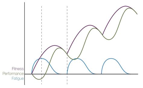Image result for Periodization Explained